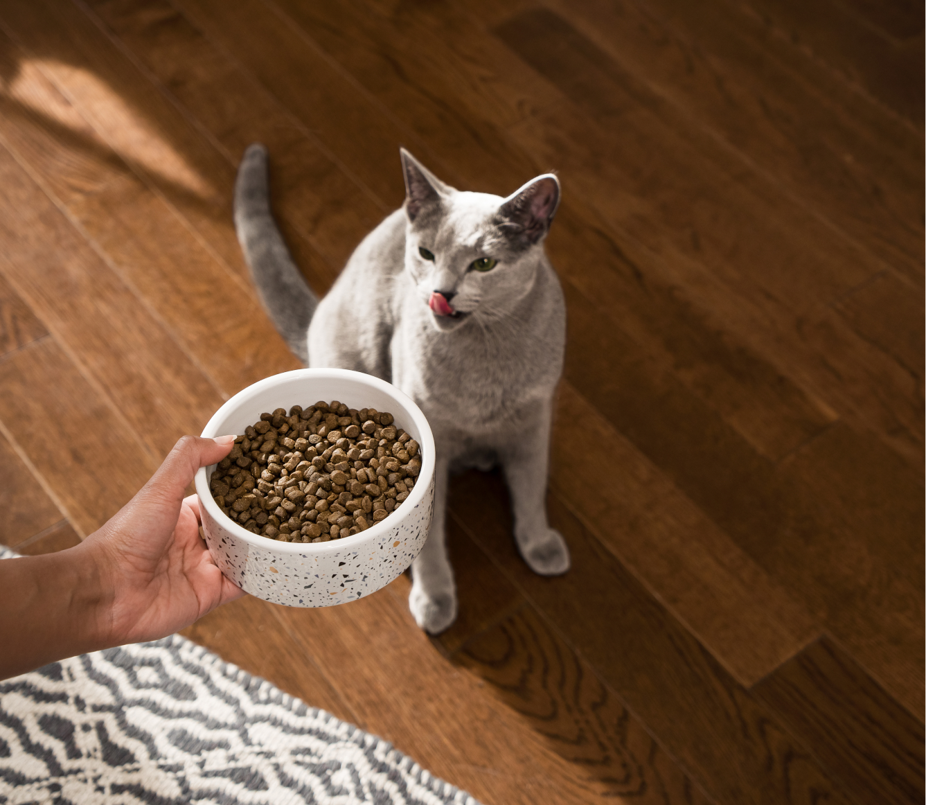 Open Farm Pet Whitefish Grain-Free Cat Kibble