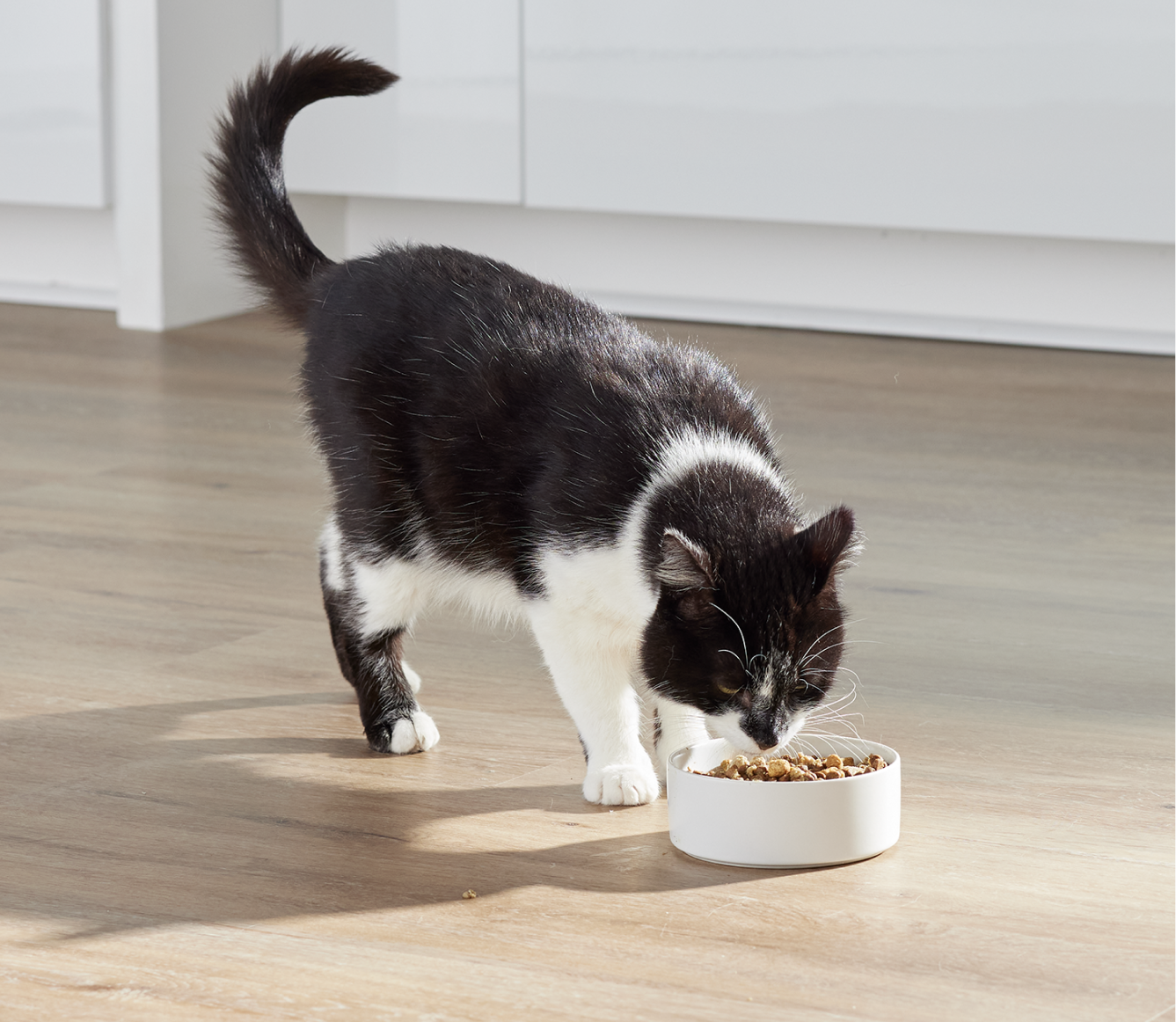 Open Farm RawMix Grain-Free Kitten Kibble