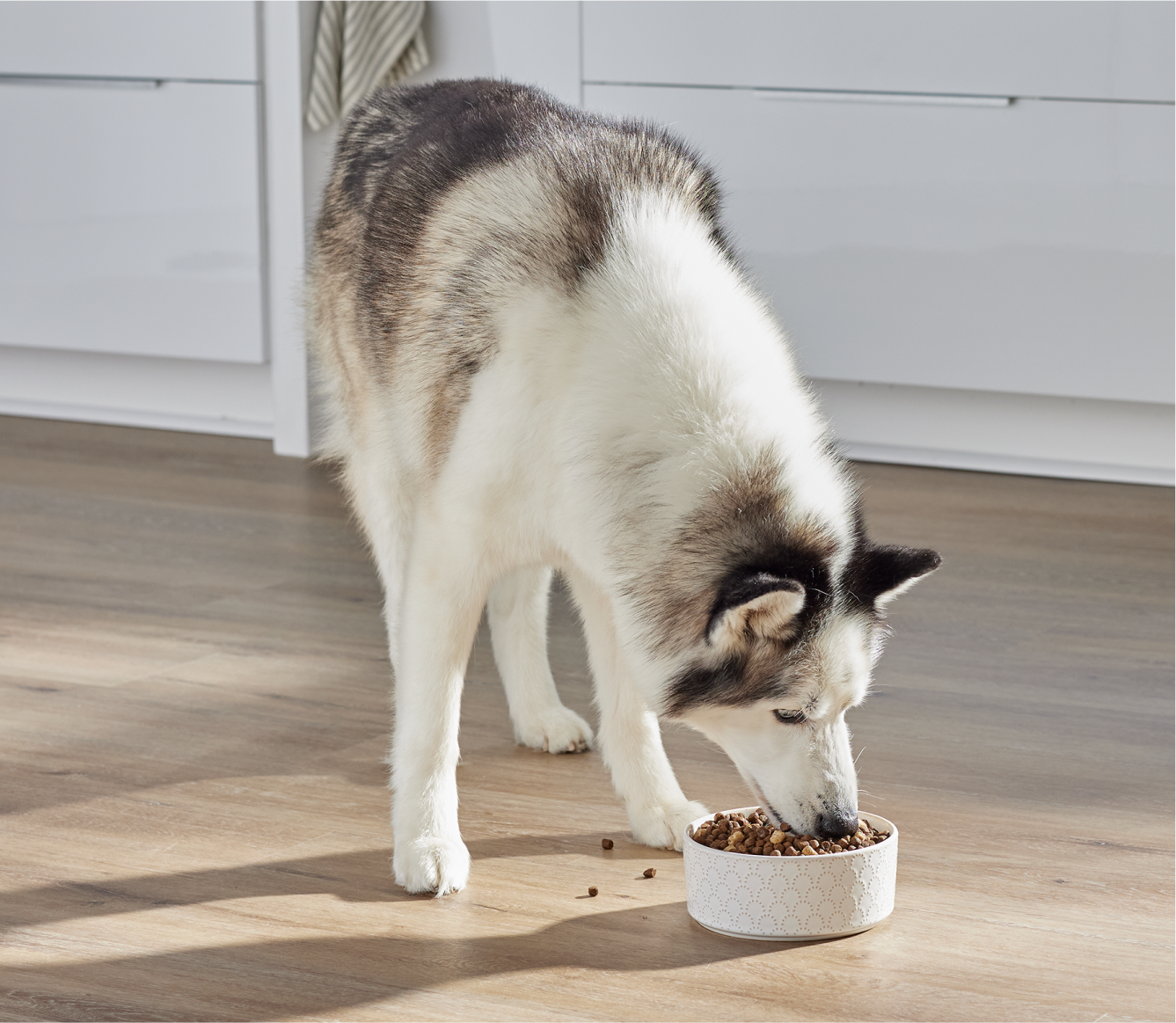 Open Farm RawMix Tide & Terrain Ancient Grains Dog Kibble