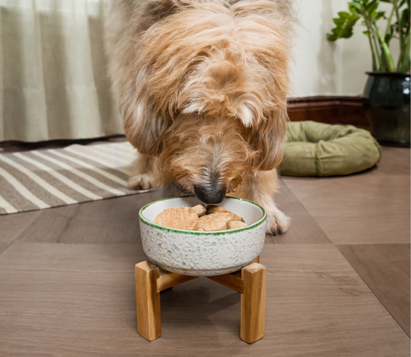 Open Farm Chicken & Salmon Freeze Dried Raw Patties for Puppies