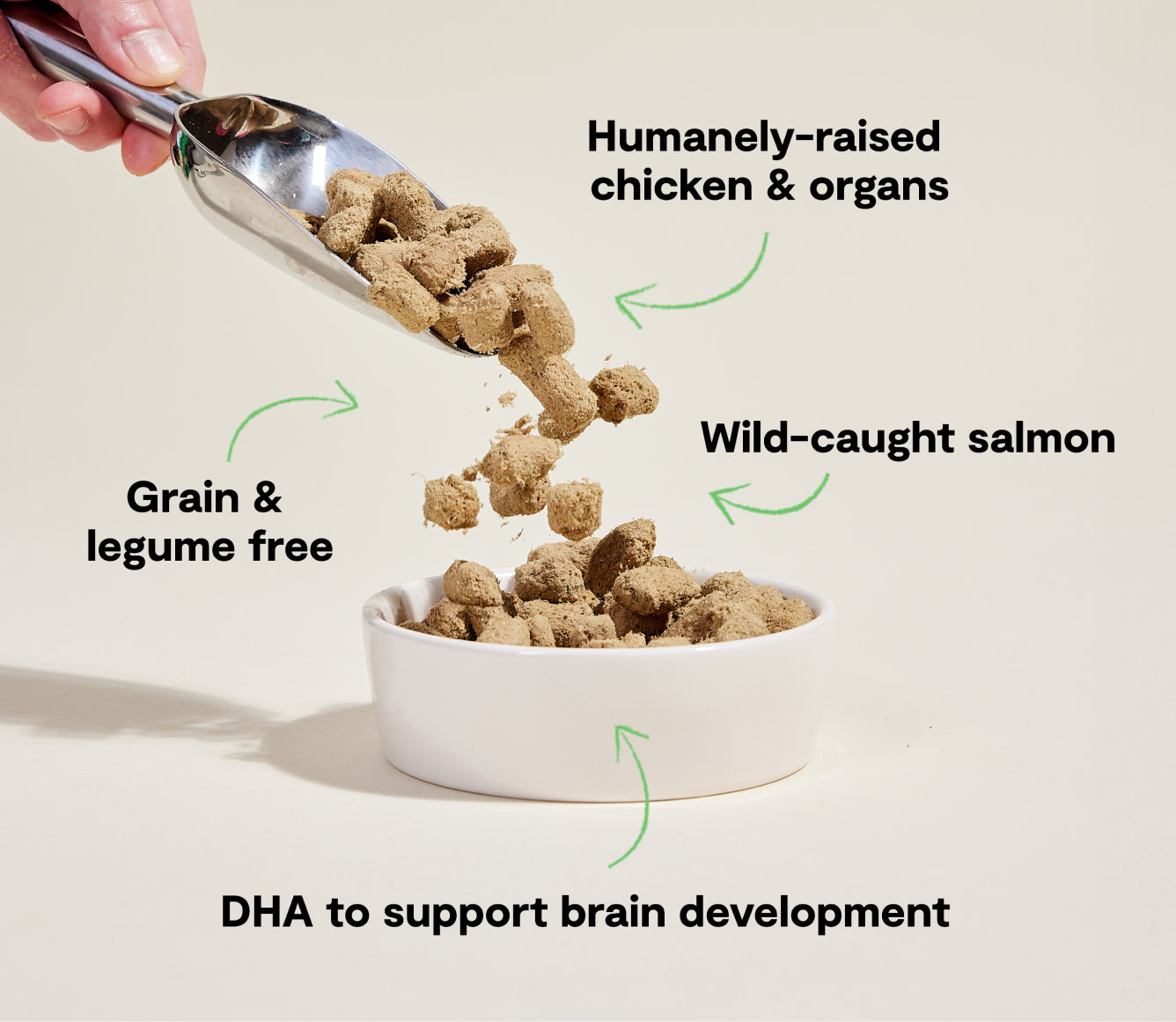 Open Farm Chicken & Salmon Freeze Dried Raw Morsels for Puppies