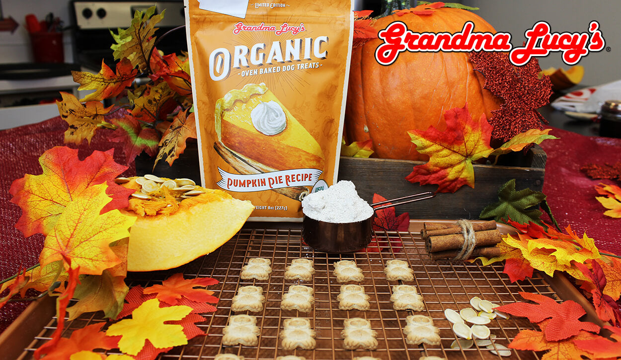 Organic Pumpkin Pie