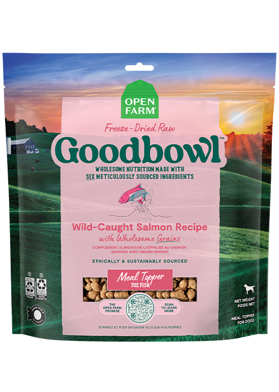 Open Farm Goodbowl Wild-Caught Salmon Freeze Dried Raw Morsels for Dogs