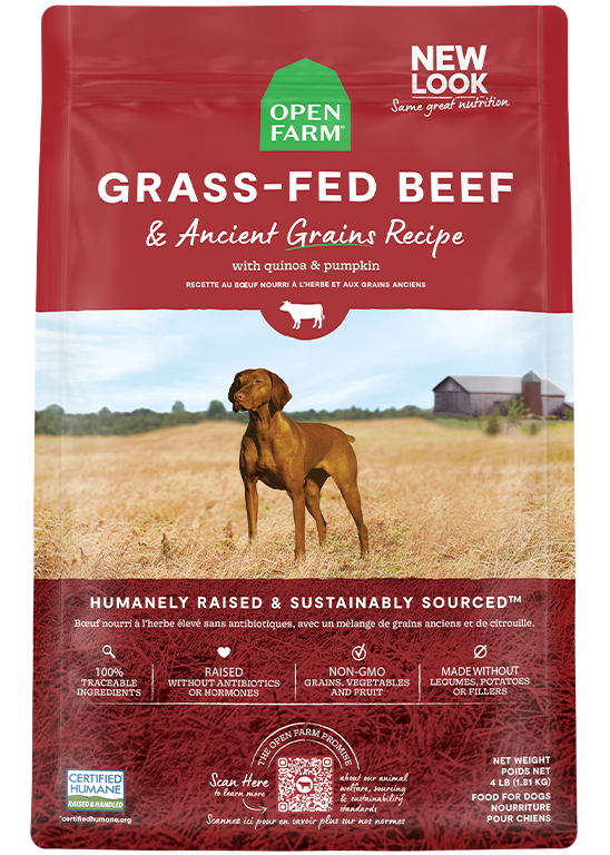 Open Farm Grass-Fed Beef & Ancient Grains Dog Kibble