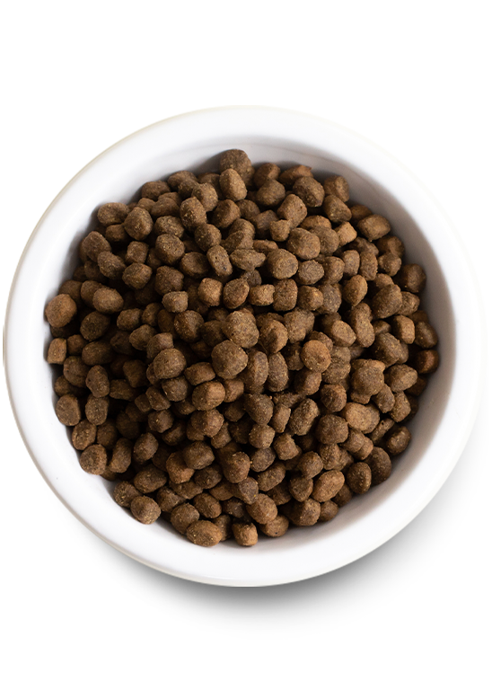 Open Farm Puppy Essentials Pack