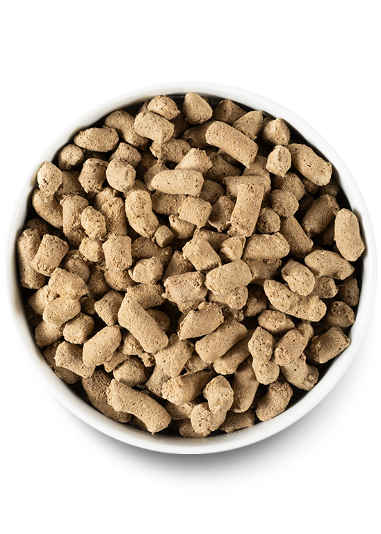Open Farm Ancient Grains Puppy Pack