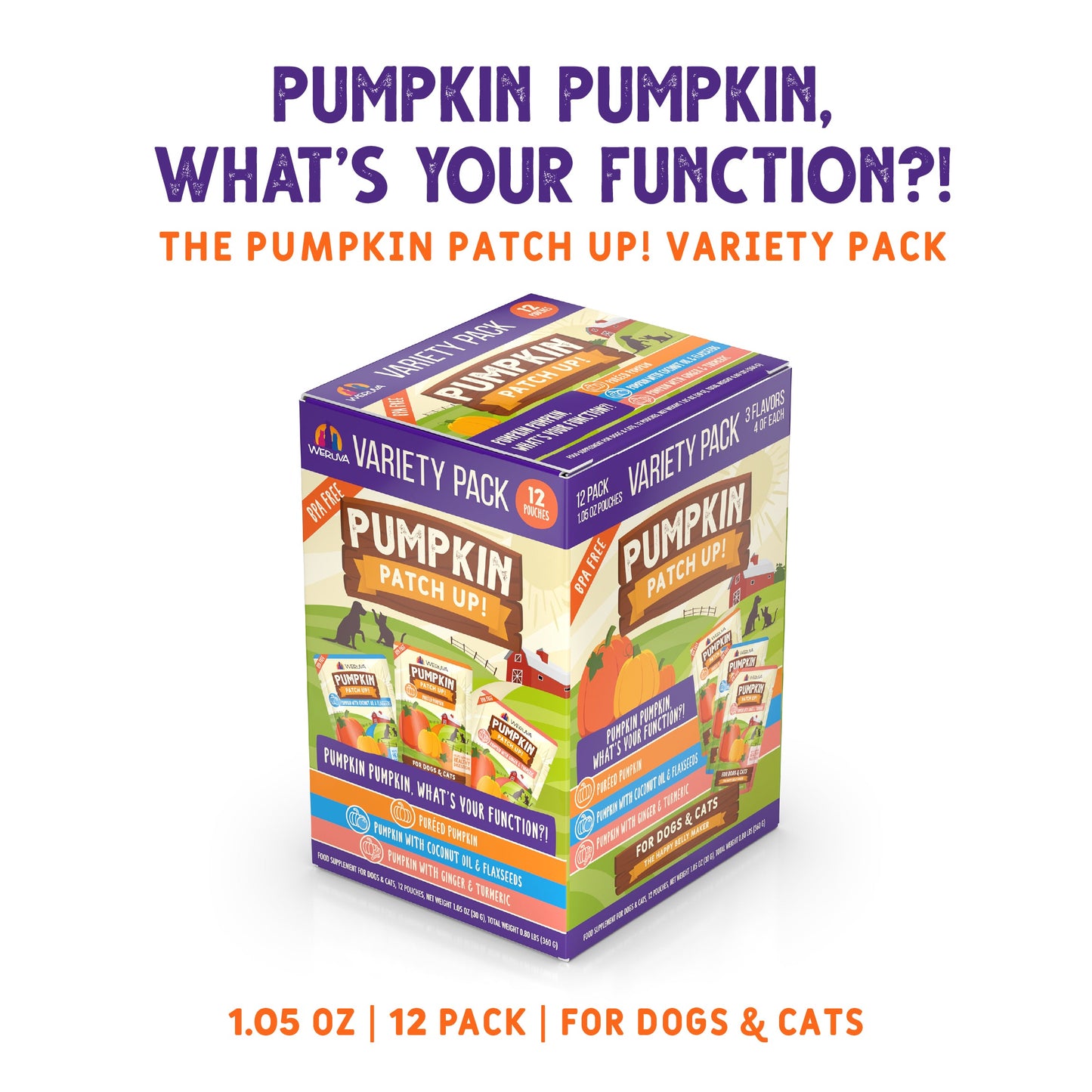Pumpkin Pumpkin, What's Your Function?!