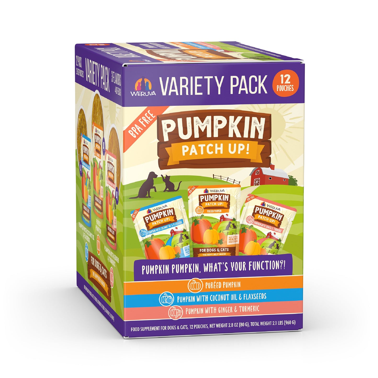 Pumpkin Pumpkin, What's Your Function?!