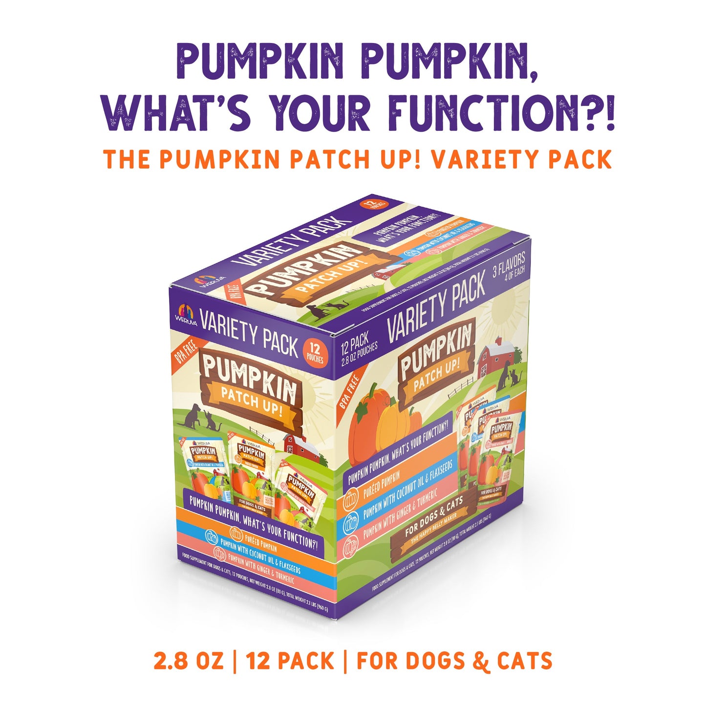 Pumpkin Pumpkin, What's Your Function?!