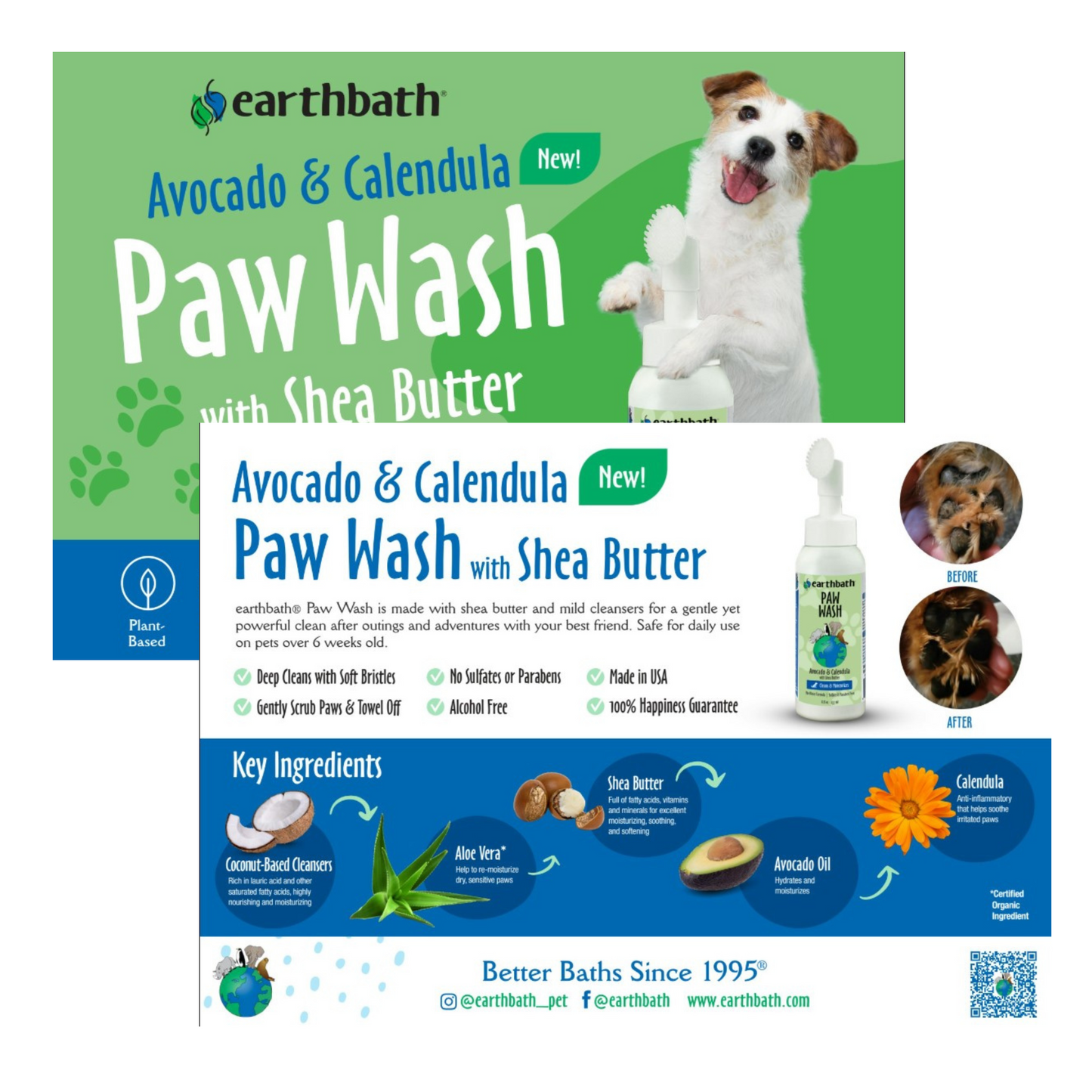 Paw Wash Postcard
