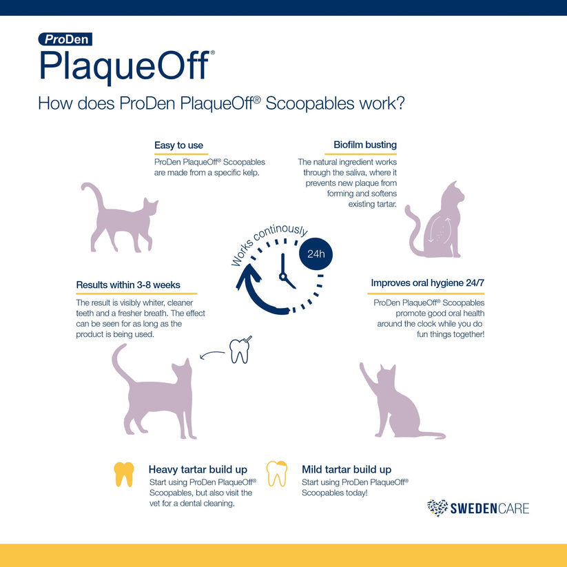 Proden PlaqueOff Dental Supplement Scoopables for Cats
