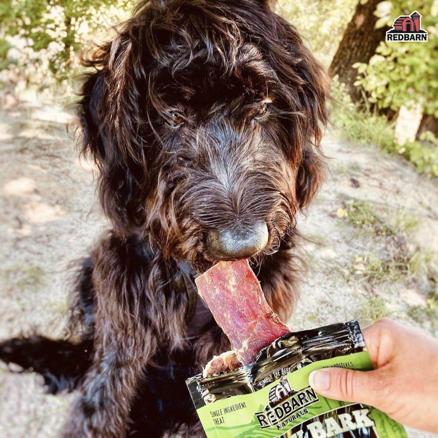 Beef Jerky