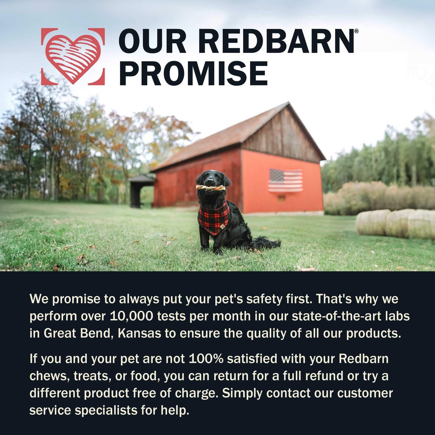 New! Dur-A-Bulls® Tire