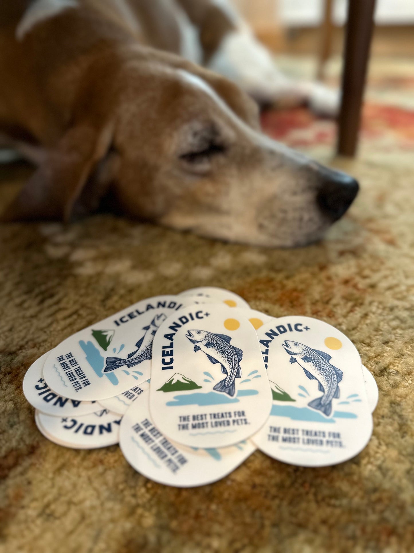 Jumping Fish Sticker