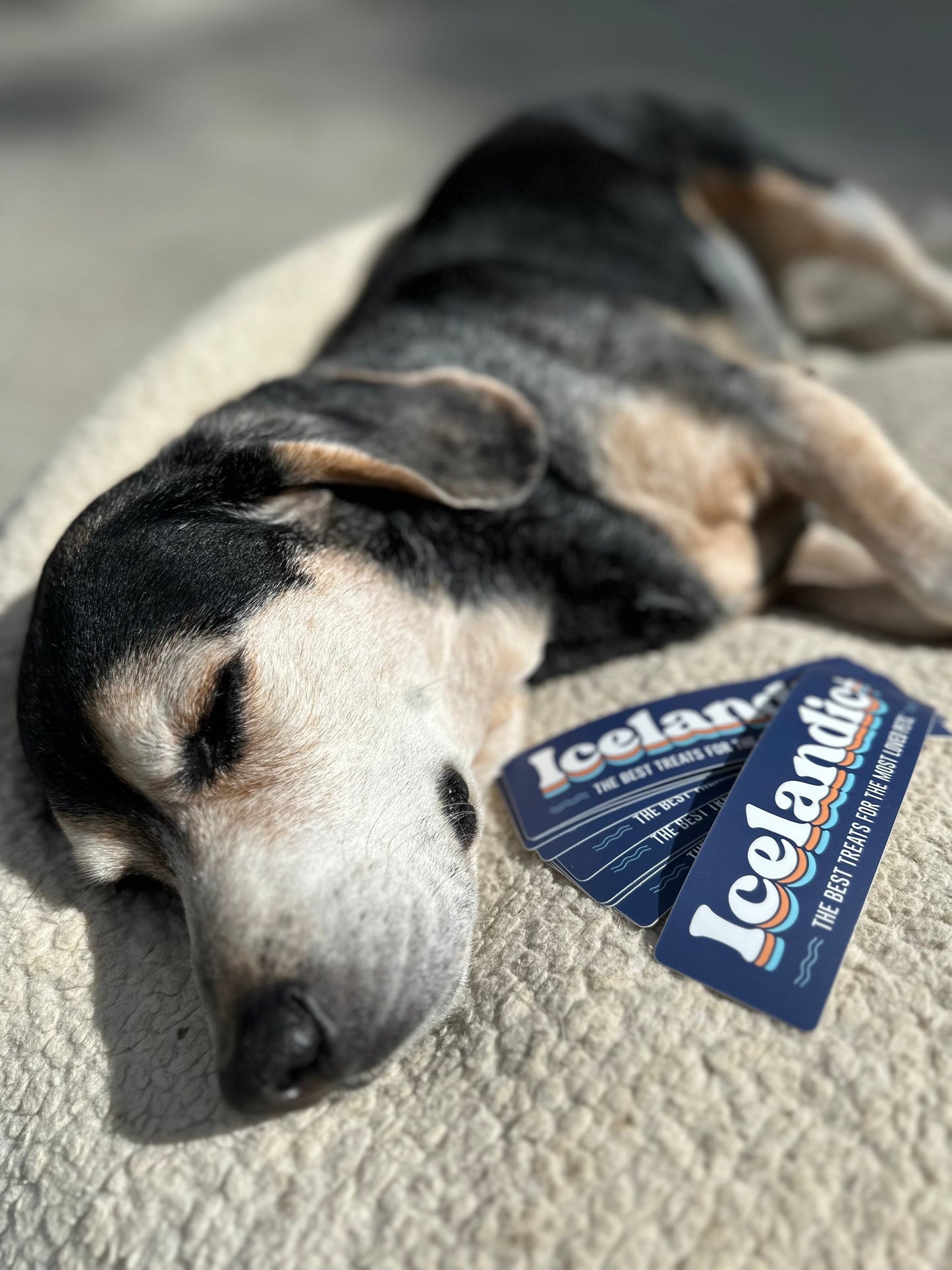 Vintage Logo Sticker