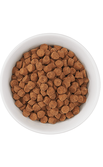 Tiki Cat Born Carnivore, Chicken And Egg Recipe, Dry Cat Food, 2.8-lb Bag