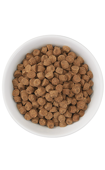 Tiki Cat Born Carnivore, Herring And Salmon Recipe, Dry Cat Food, 2.8-lb Bag