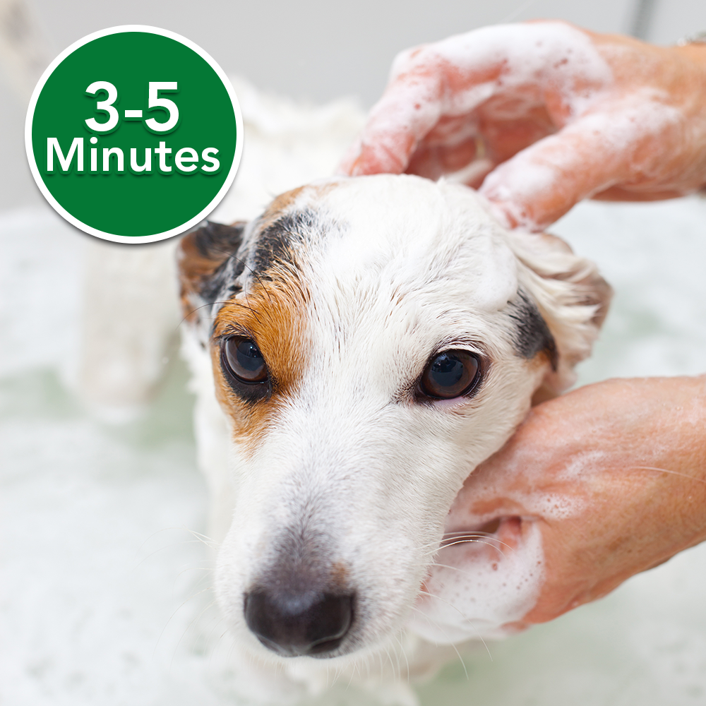 Oatmeal Medicated Dog Shampoo