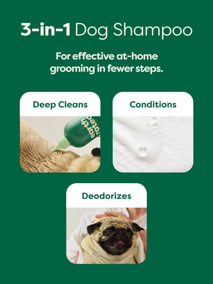 Short Coat 3-in-1 Dog Shampoo