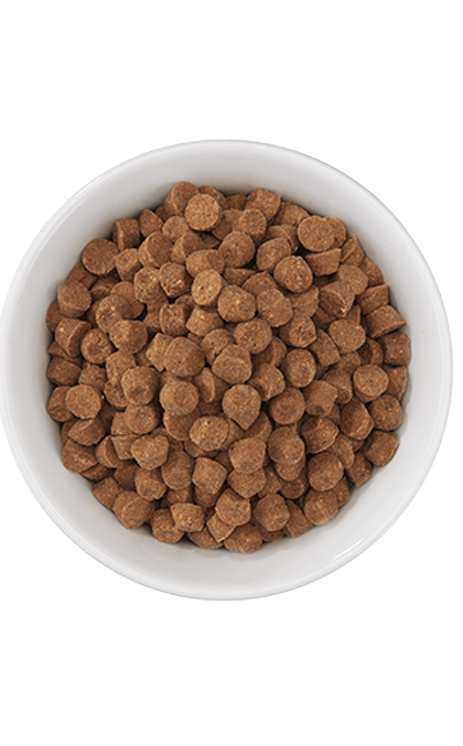 Tiki Cat Born Carnivore® High Protein: Chicken, Herring & Salmon Recipe 2.8-lb, Dry Cat Food