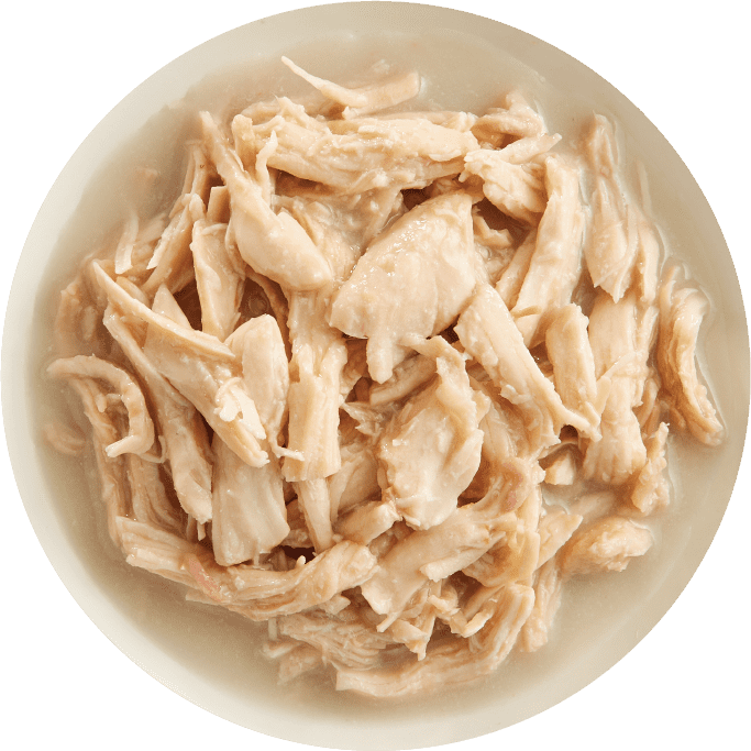 RAWZ® Shredded in Broth Chicken Breast & New Zealand Green Mussels Recipe, Wet Dog Food, 10-oz Case of 12