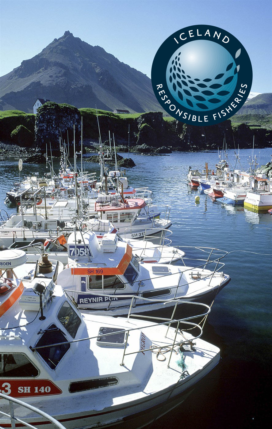 Icelandic+ Blue Wristband for a Cause