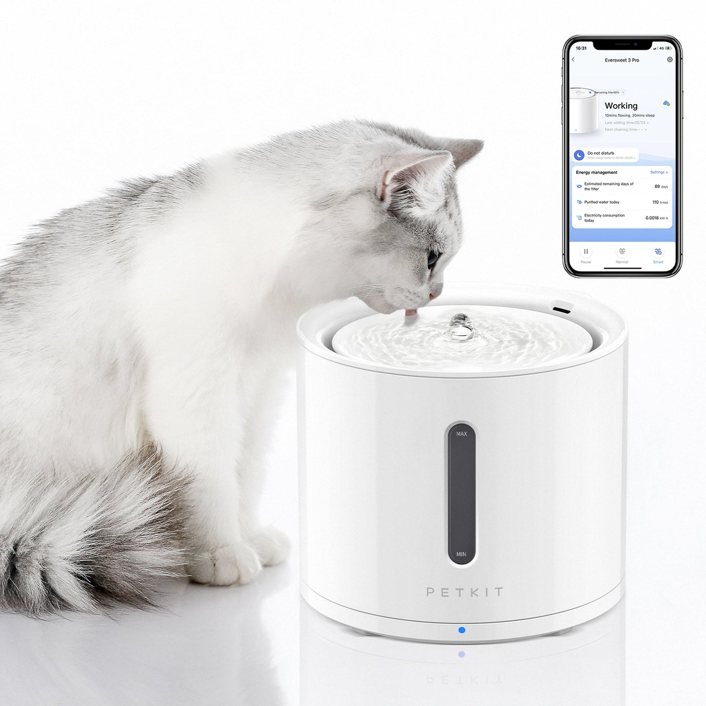 PetKte FurWaker Grooming Kit+EverSweet Fountain