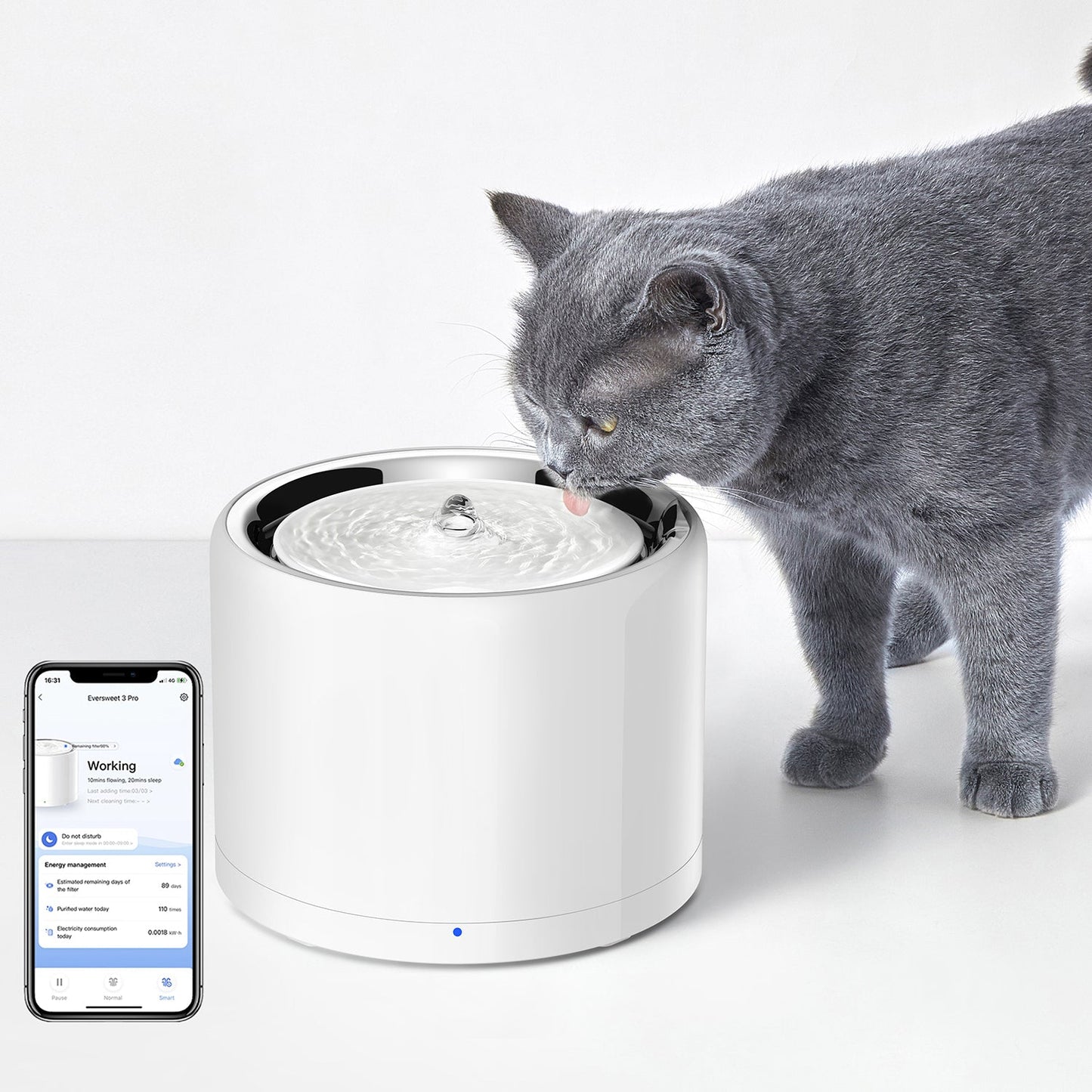 PetKte FurWaker Grooming Kit+EverSweet Fountain