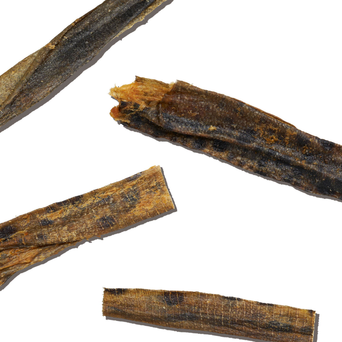 Ocean Chews Hearty Wolffish Skins Beams