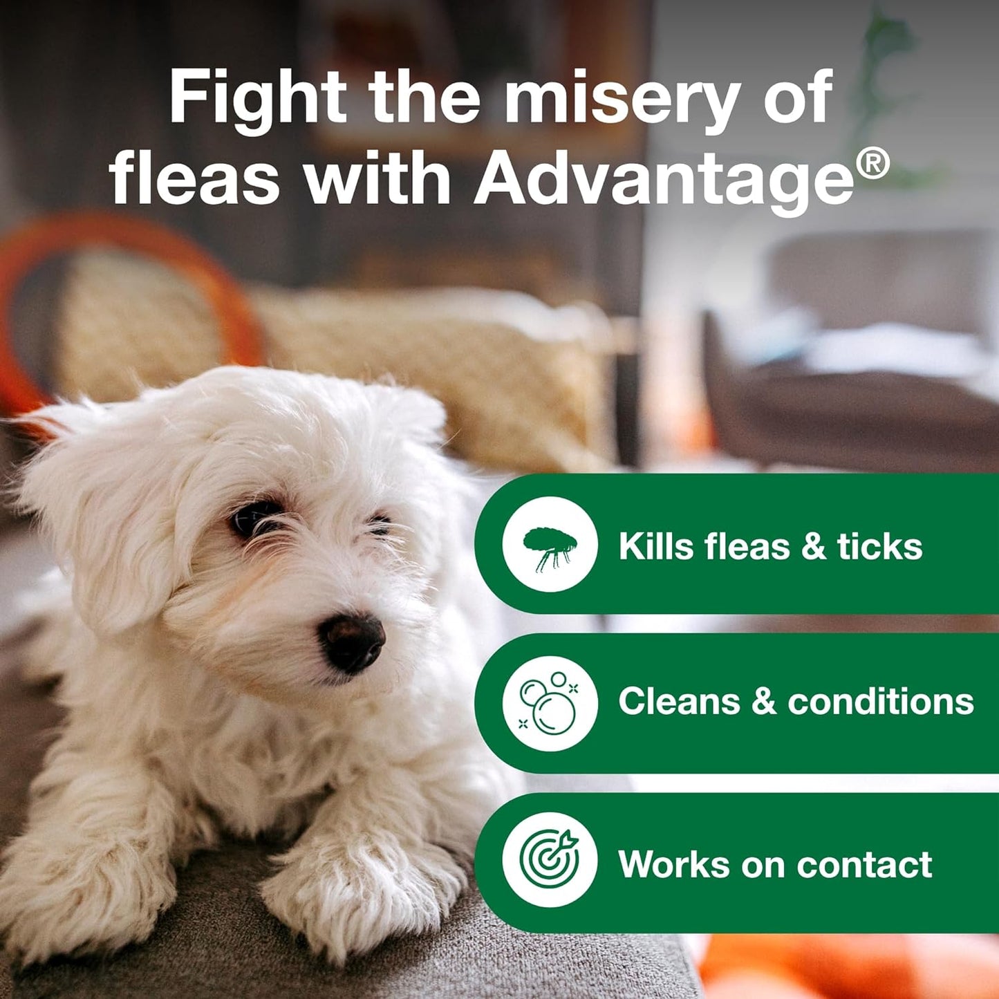 Elanco Advantage Flea & Tick Treatment, Dog Shampoo, 8-oz Bottle