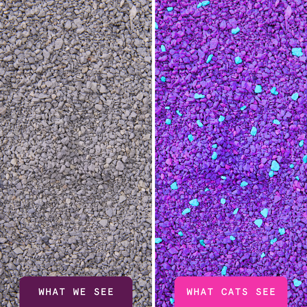 Glo Natural Attractions Clumping Clay Cat Litter