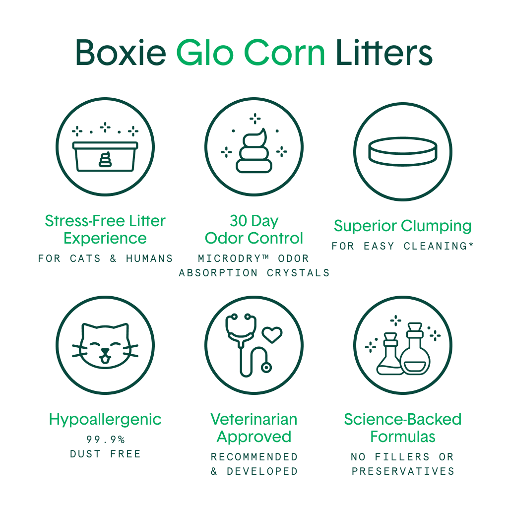 Glo Natural Attractions Clumping Corn Cat Litter