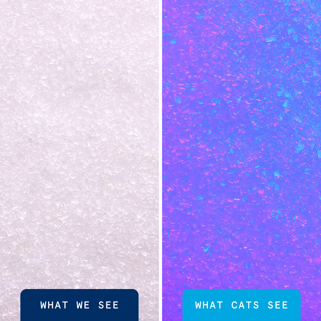 Glo Natural Attractions Non-Clumping Crystal Cat Litter