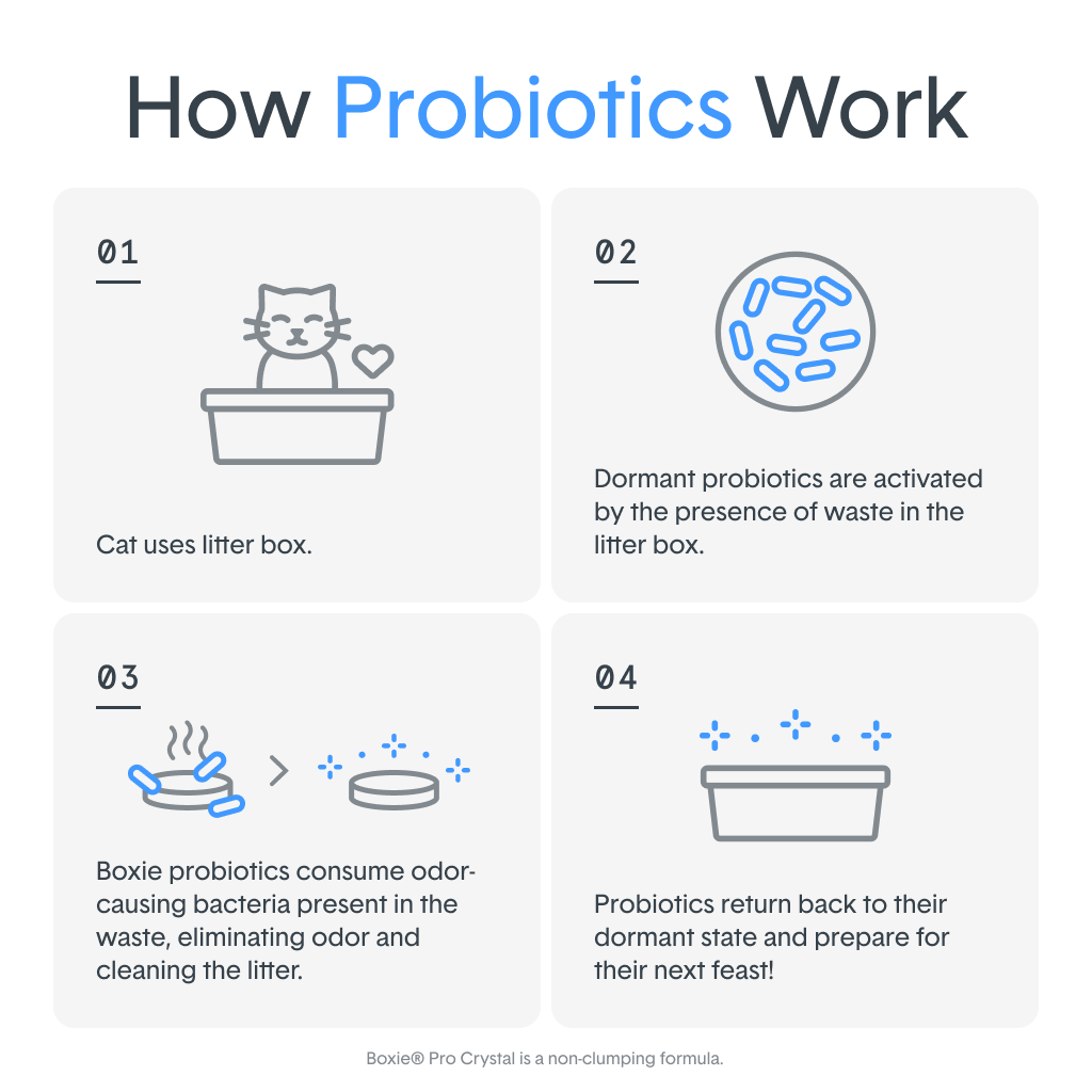 SELF CLEANING LITTER with Probiotic Clumping Clay