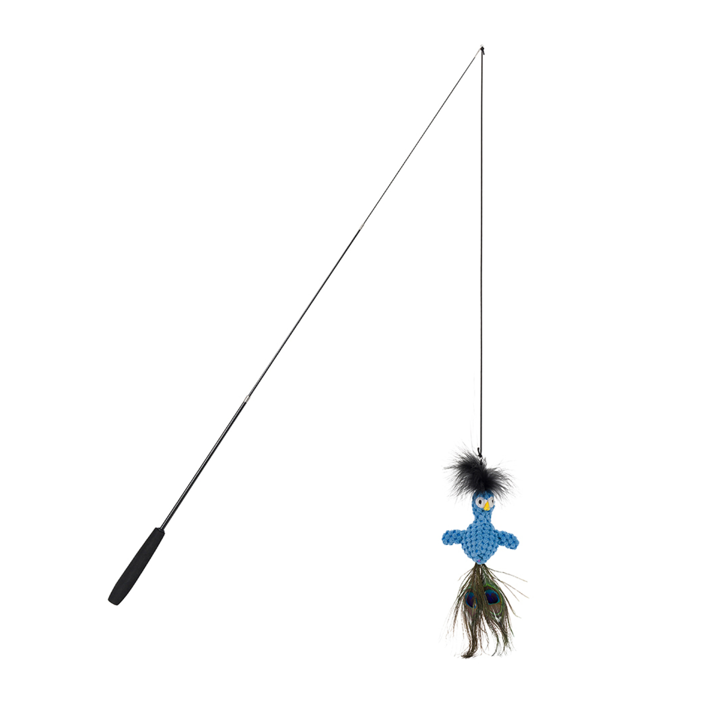 Floppy Peacock Teaser