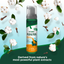 Flea and Tick Waterless Bath for Dogs â€?Cotton Spice Scent, 8 oz.