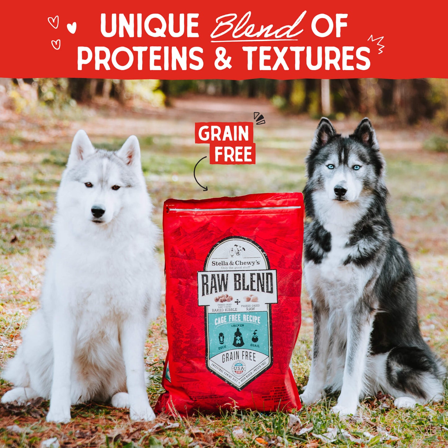 Cage-Free Raw Blend Kibble