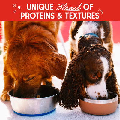 Cage-Free Recipe with Pumpkin & Quinoa Raw Blend Baked Kibble with Grains