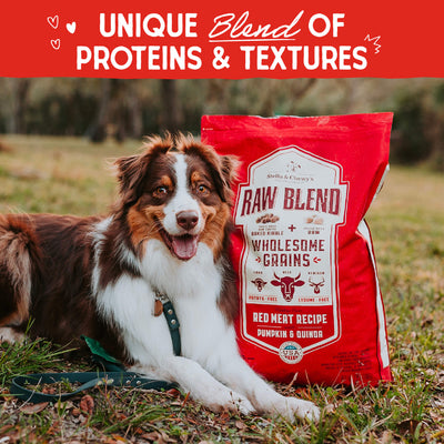 Red Meat Recipe with Pumpkin & Quinoa Raw Blend Baked Kibble with Grains