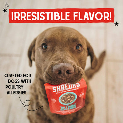 Stella's Shredrs Beef & Salmon Recipe in Broth