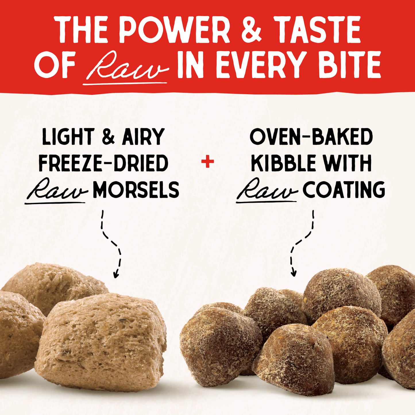 Cage-Free Raw Blend Kibble