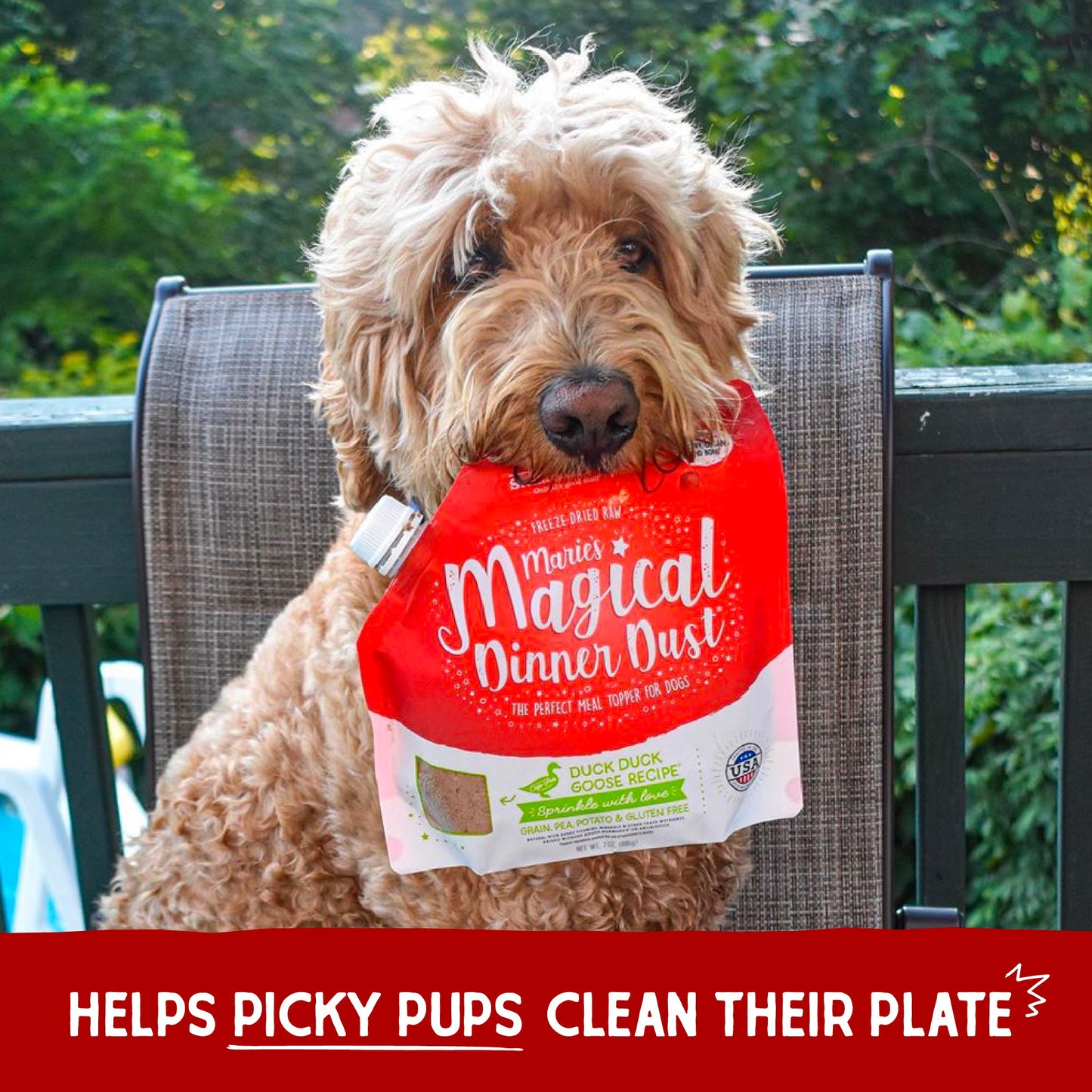 Marie’s Magical Dinner Dust Duck Duck Goose