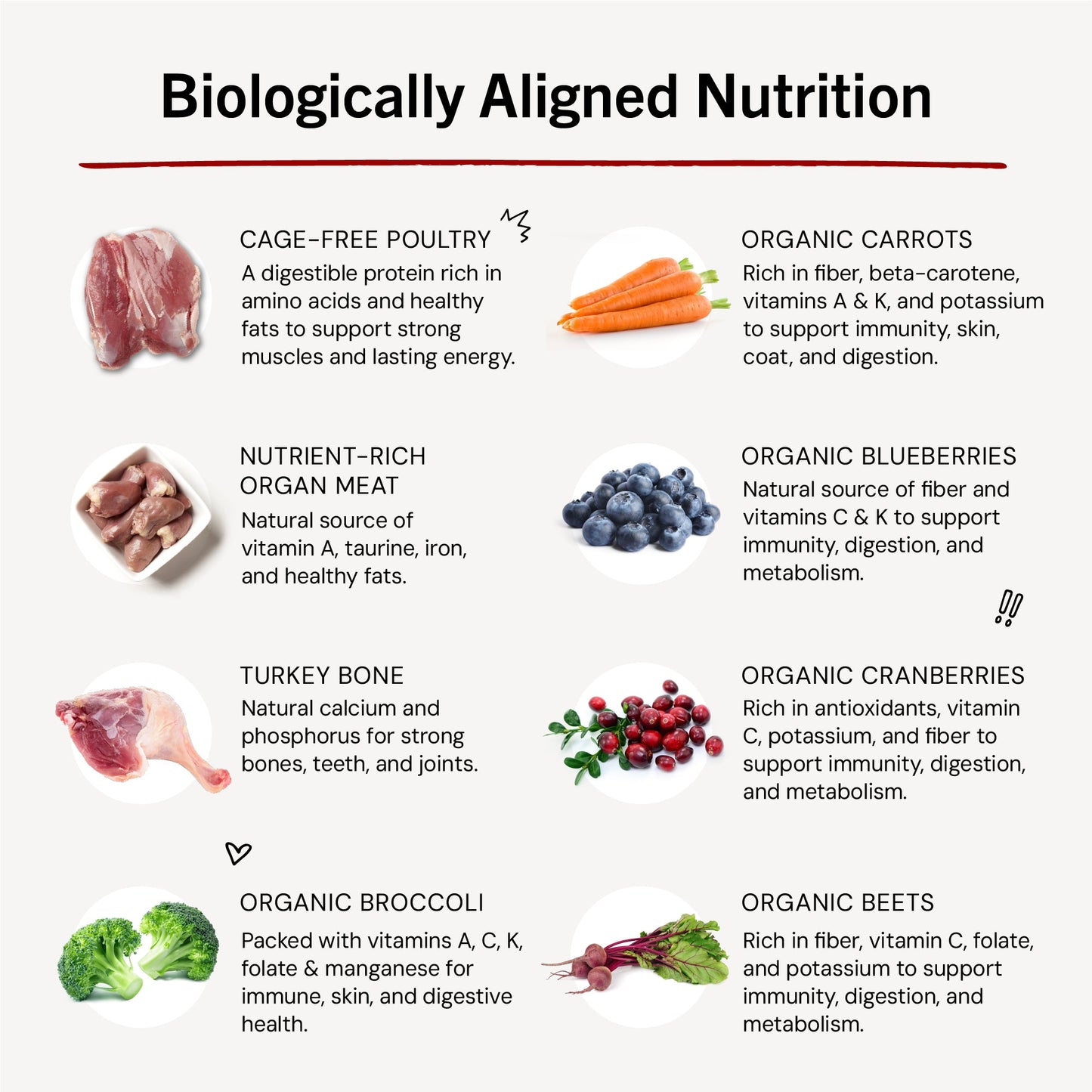 Marie’s Magical Dinner Dust Duck Duck Goose