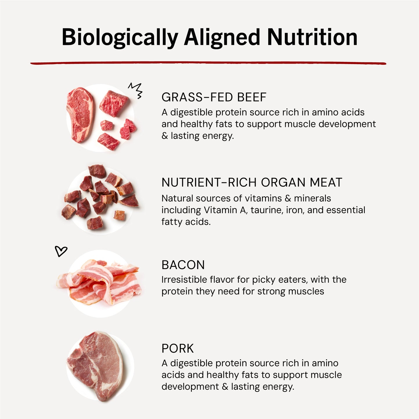 Marie’s Magical Dinner Dust What’s Shak’n Bac’n