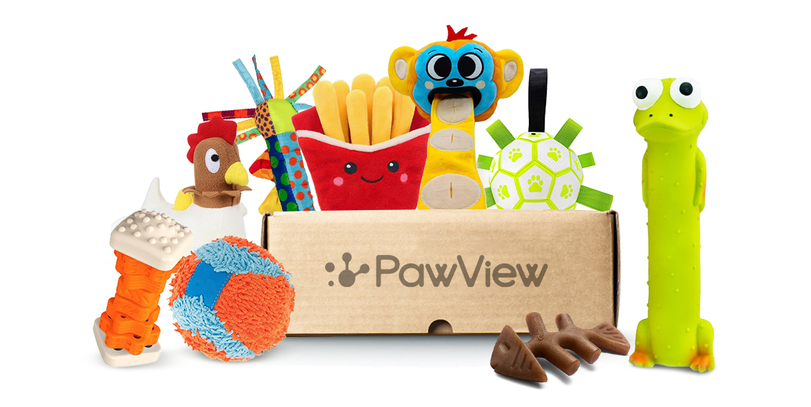 PawView Subscription Box: Tailored Treats and Toys for Your Furry Friend's Delight