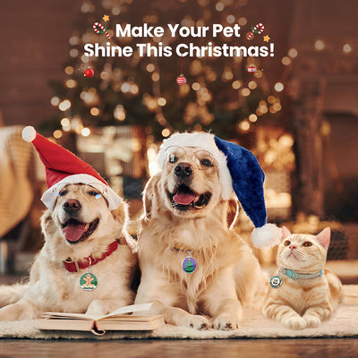 PawView Smart QR Code Pet Tag, Christmas Dog Tags Personalized for Pets