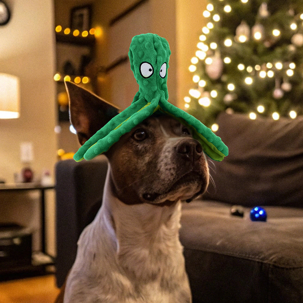 PawView Monthly Toy Box – Tailored Toys + Gifts Inside, The Monthly Dog Toy