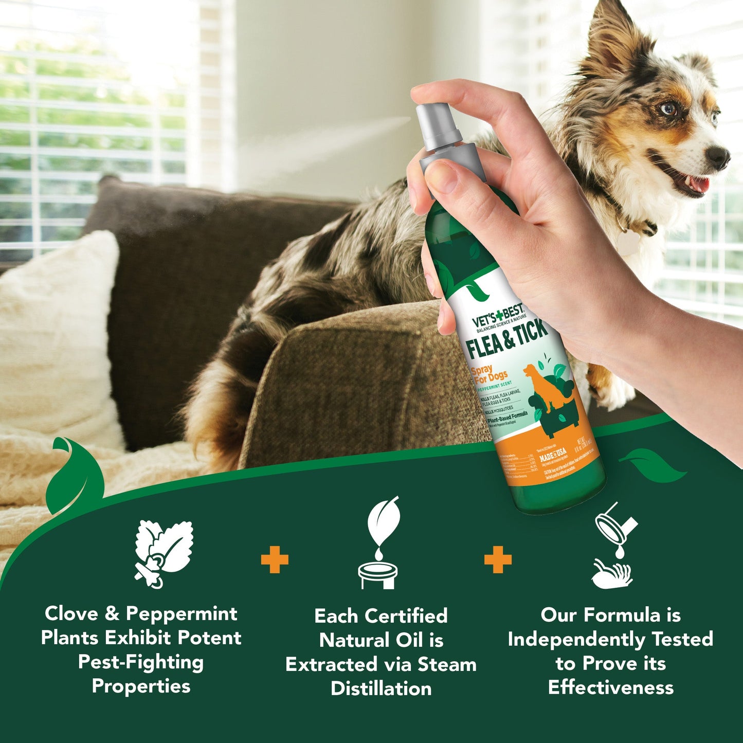 Flea & Tick Spray for Dogs