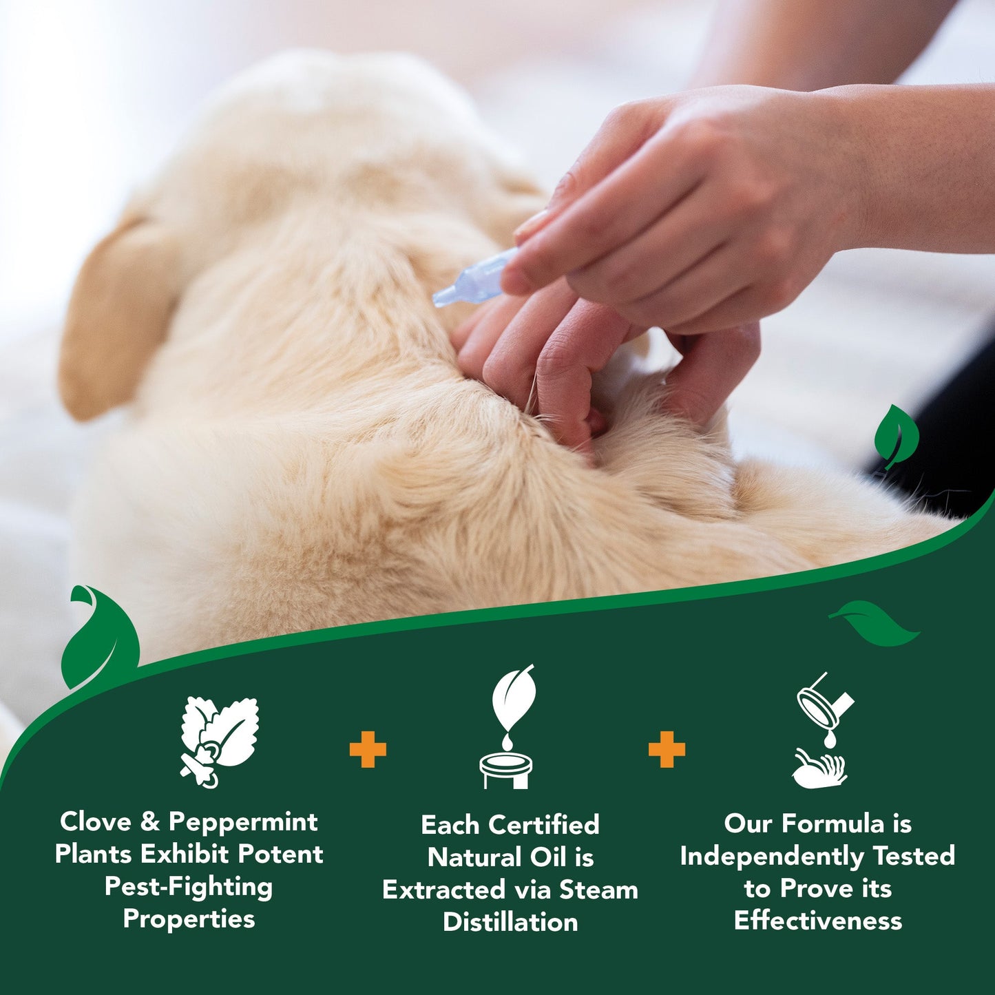 Flea & Tick Spot-On for Large Dogs