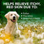Allergy Itch Relief Spray
